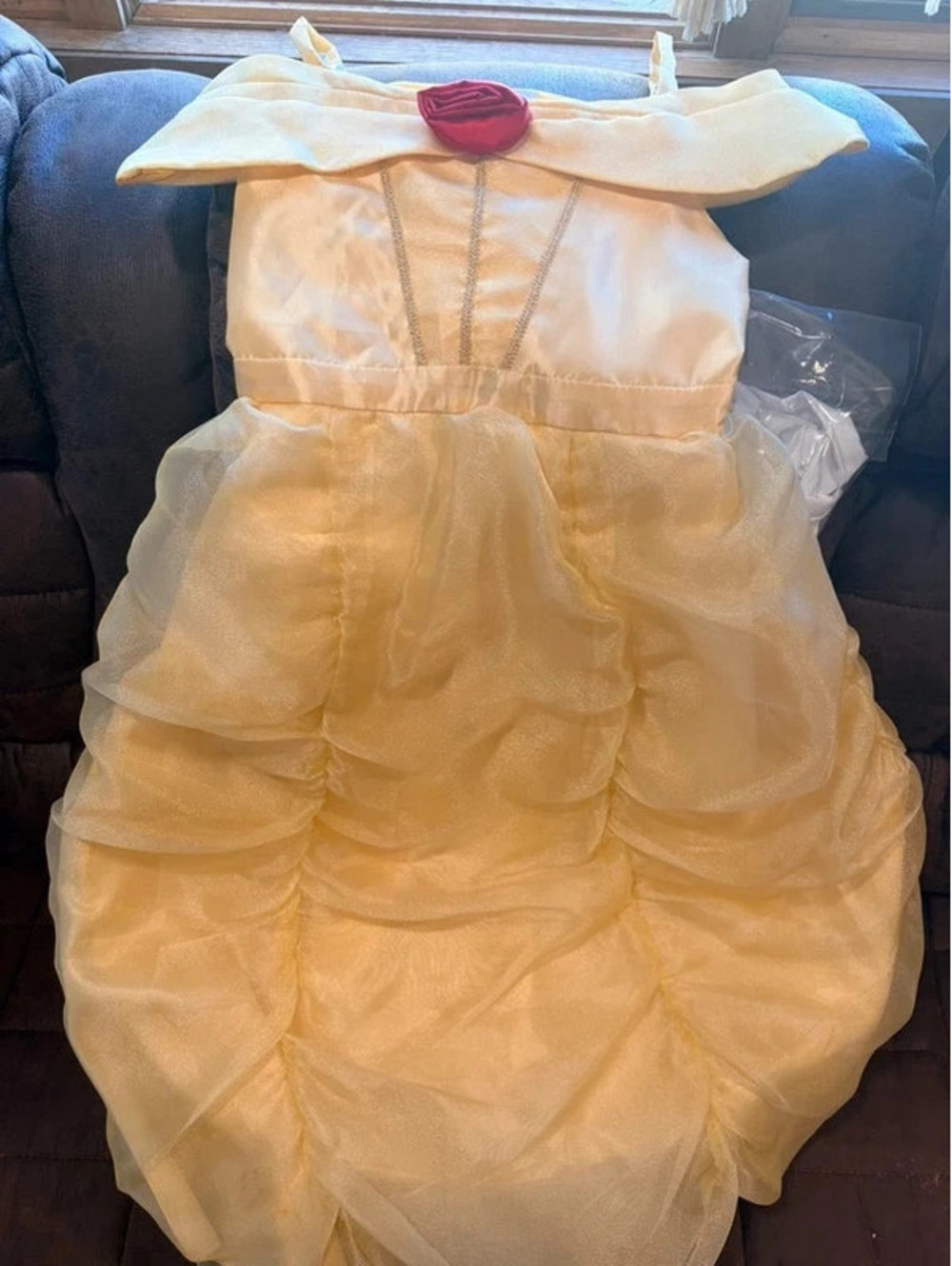 Belle Princess Dress  Costume